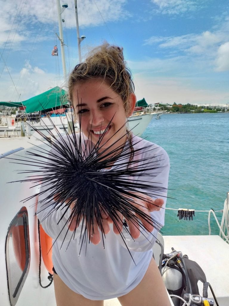 Addie Benz holding a Diadema (long-spined sea urchin) on a Citizen Science Trip